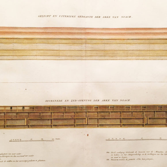 Ark cross section