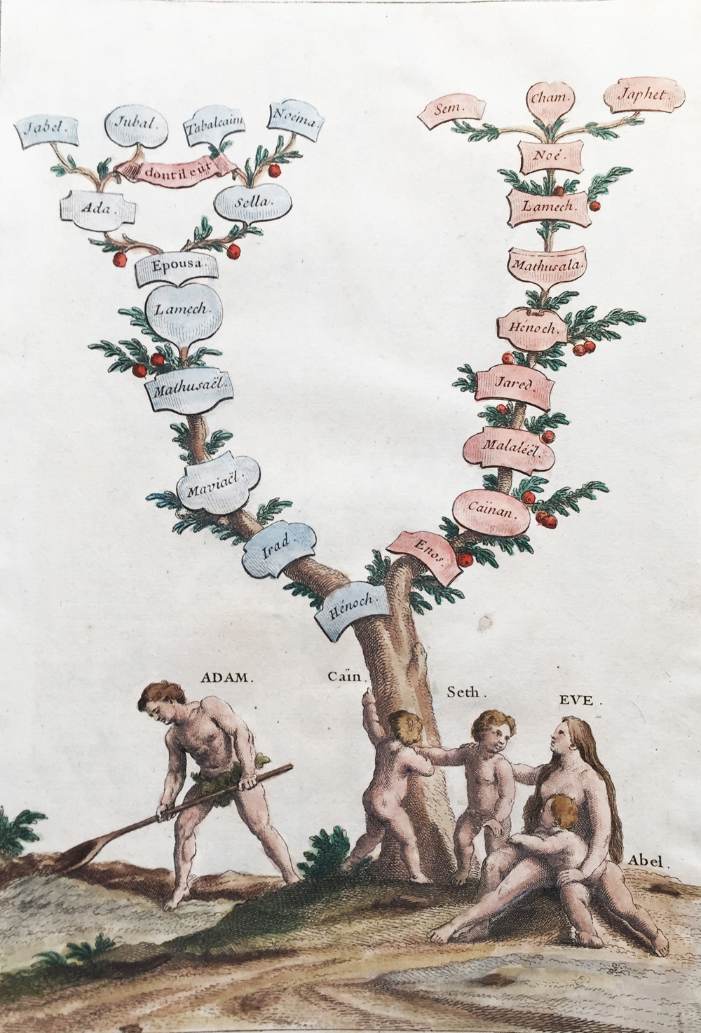 Genealogy tree of the descendants of Adam and Eve